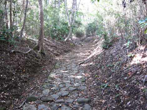 20201105hike (31)